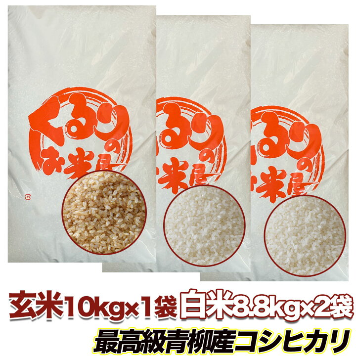 楽天市場】【1000円OFFクーポン対象】コシヒカリ 玄米 30kg 塩むすびで 