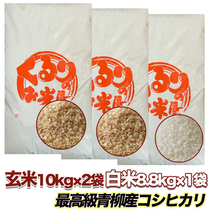 楽天市場】コシヒカリ 令和6年産 玄米 30kg 塩むすびで食べて♪厳選  