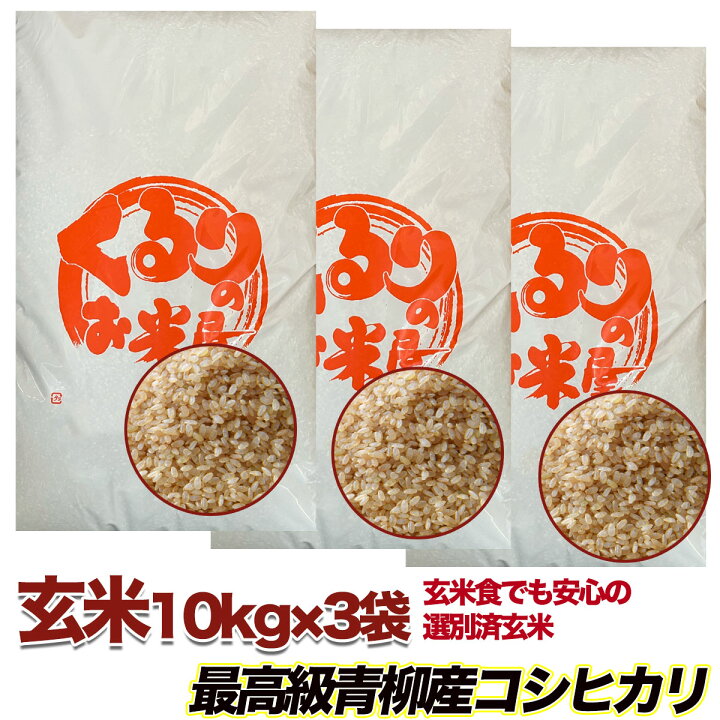 楽天市場】【1000円OFFクーポン対象】コシヒカリ 玄米 30kg 塩むすびで 