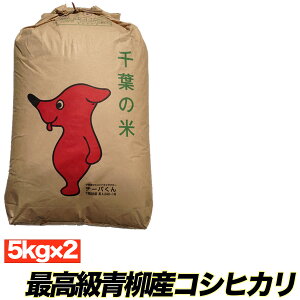 Vėߘa7NY RVqJ ōYRVqJ10kg(5L×2) ā@ā@  c_򌟍 c_so