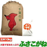 ふさこがね こしひかりを超えたうまさ！！ 玄米10kg　玄米食でも安心の選別済み玄米 送料無料 精米無料 …
