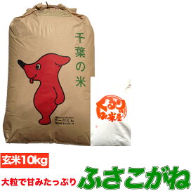 楽天市場】コシヒカリ 令和6年産 【1袋づつ選べる！精米or玄米】千葉県  