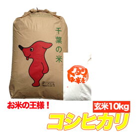 コシヒカリ 令和6年産 玄米 10kg 千葉県 【送料無料】【精米無料】 精米(白米)発送可 10キロ 残留農薬検査済 残留農薬不検出