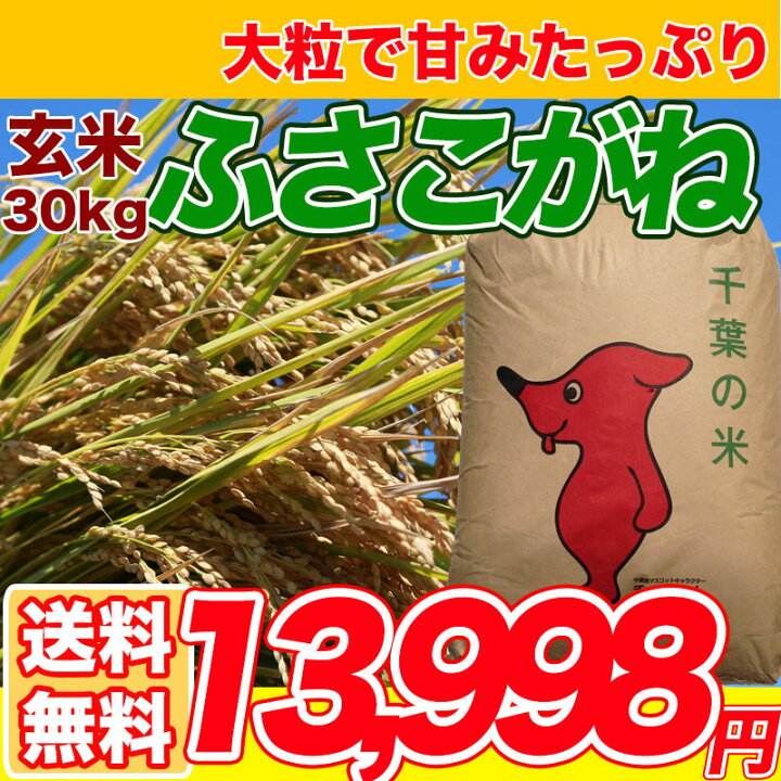 新米 令和4年 産 キヌヒカリ 玄米30キロ 淡路島 精米小分け可 30kg