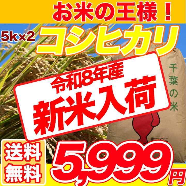 楽天市場】コシヒカリ 【1袋づつ選べる！精米or玄米】千葉県産 10kg 