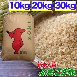 kogane.jpg?fitin=272:272