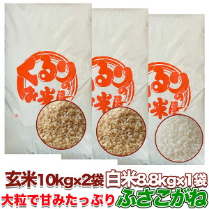 Vėߘa7NYӂ 10kg 20kg 30kg  Iʍ ĐHłS̑Iʍό  Ė   c_򌟍 c_so