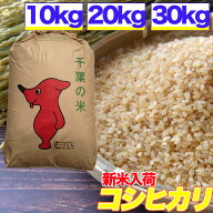 コシヒカリ 米 玄米 10kg 20kg 30kg 精米 白米 残留農薬検査済 選別済 玄米 千葉県産 送料無料