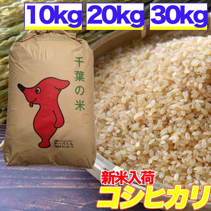 楽天市場】新米 コシヒカリ 令和6年産 米 玄米 10kg 20kg 30kg 精米 