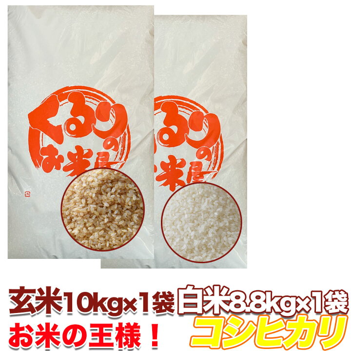 楽天市場】コシヒカリ 令和6年産 米 玄米 10kg 20kg 30kg 精米 白米 