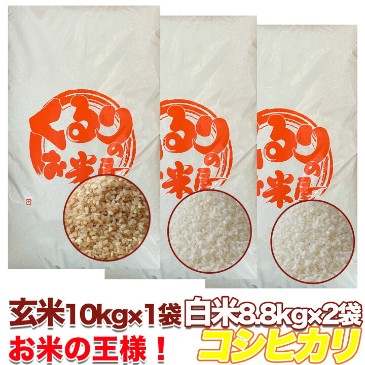 楽天市場】コシヒカリ 令和6年産 米 玄米 10kg 20kg 30kg 精米 白米  