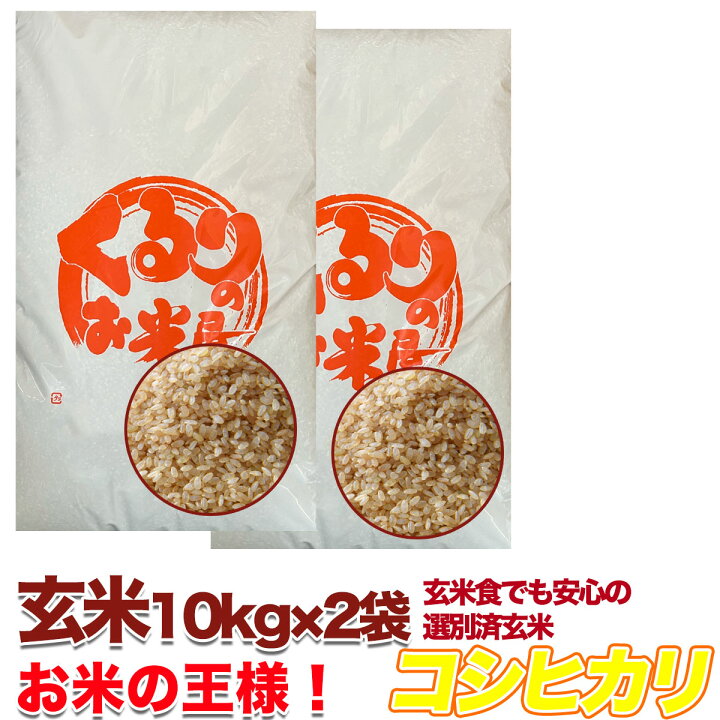 楽天市場】コシヒカリ 令和6年産 米 玄米 10kg 20kg 30kg 精米 白米 