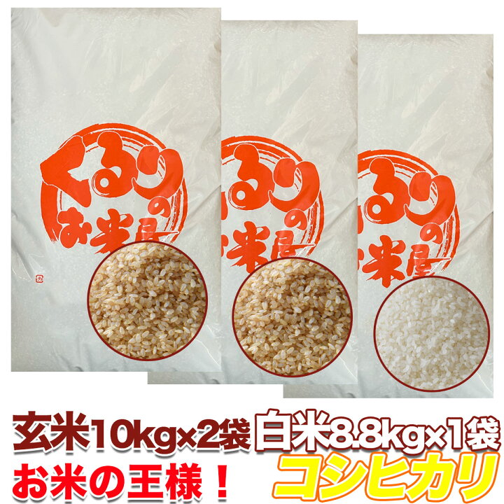 楽天市場】コシヒカリ 令和6年産 米 玄米 10kg 20kg 30kg 精米 白米  
