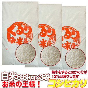 y24,000~ȏ1,000~OFFE8,000~ȏ300~OFFN[|zzzVėߘa7NY RVqJ   10kg 20kg 30kg   c_򌟍 Iʍ  tY 