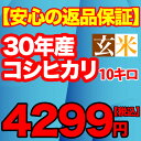 28年産入荷 コシヒカリ 玄米 10kg 千葉県 【送料無料】【精米無料】 精米(白米)発送可 10キロ 【オススメ】【売れ筋】 ランキングお取り寄せ