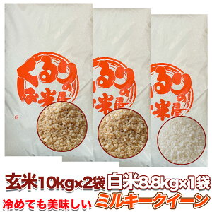 Vėߘa7NY ~L[NC[ 10kg 20kg 30kg Iʍ   Ė () c_򌟍 c_so