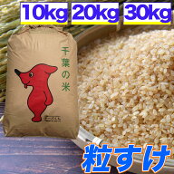 【令和8年産新米発送】粒すけ 10kg 20kg 30kg 玄米食でも安心 選別済 玄米 千葉県産 精米 白米 送料無料 …