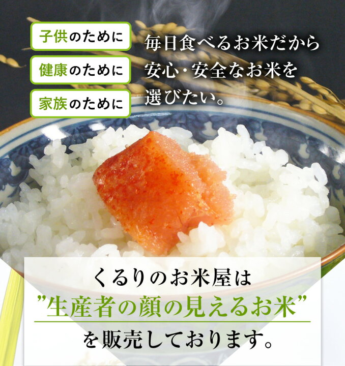 楽天市場】コシヒカリ 令和6年産 米 玄米 10kg 20kg 30kg 精米 白米  