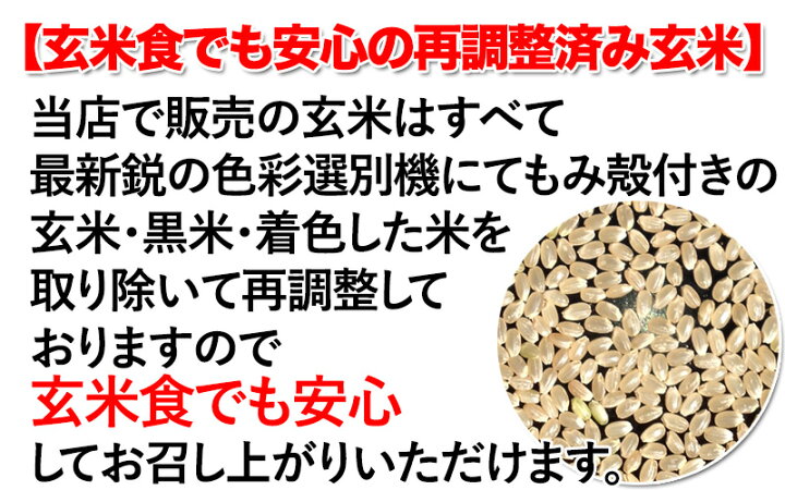 楽天市場】【1000円OFFクーポン対象】コシヒカリ 玄米 30kg 塩むすびで 