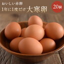 1年に一度だけ☆大寒卵☆くしたま【赤卵】(櫛田養鶏場のおいしい卵)【20個入り(18個＋破卵保障2個)】2025年1月20日に…