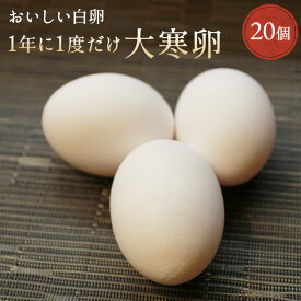 1年に一度だけ☆大寒卵☆くしたま【白卵】【20個入り(18個＋破卵保障2個)】2025年1月20日にうまれた大寒たまご！【150セット限定】