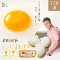 お裾分けセット！！＼臭みのないおいしい卵／くしたま 白卵【120個入り(100個＋破卵保障20個)】櫛田養鶏…