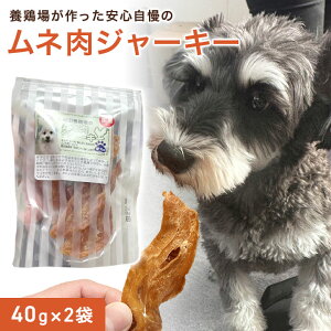 �_1000�~�|�b�L���^���l�� �W���[�L�[ �y80g�z�{�{�ꂾ����ł��鉿�i�I�{�ɂ͖��Y���E��`�q�g���������s�g�p�̂������̎��Ɣz��������^���Ĉ�Ă����S�̌{�����g�p�B �� ����� ���Y