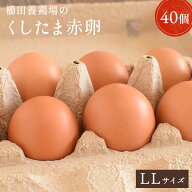 【愛知●尾張】おいしい赤卵LLサイズ40個入り(10個破卵保障含)送料無料！赤卵/40個/養鶏場直送/食品/卵/…