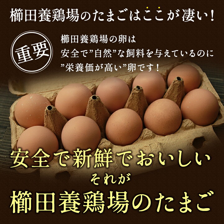 楽天市場】業務用☆愛知が誇るブランド卵☆名古屋コーチンの卵【90個 