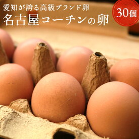 愛知が誇るブランド卵☆名古屋コーチンの卵【30個入り(破卵保障3個含む)】食品 卵 鶏卵 高級卵 玉子 たまご 贈答卵 ご家庭卵 送料無料 高級食材