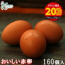 【大容量160個入りがマラソン限定20%OFF】【普段使いにおススメ】☆業務用☆【送料無料】櫛田養鶏場のおいしい赤卵　…