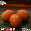 【普段使いにおススメ】櫛田養鶏場のおいしい赤卵【30個入り(破卵保障3個含む)】こだわりの餌を与え、臭みのない【おいしい赤卵】は生食はもちろん様々な料理におスス...