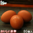 【普段使いにおススメ】櫛田養鶏場が誇るおいしい赤卵【80個入り(内10個破卵保障)】コスト削減!トレイにて発送!食品/鶏卵/卵/ご自宅用/70個/80個