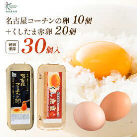 【楽天市場店限定セットA】高級 名古屋コーチン の 卵（10個入り）＋おいしい赤卵（20個入り）内3個割れ保障含む【送料無料】合計30個入り 食品 卵 鶏卵 30個 美味しい卵 新鮮な卵 新鮮卵 養鶏卵 産みたてたまご 産直 贈り物