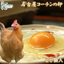 愛知が誇るブランド卵☆名古屋コーチンの卵【20個入り(18個+破卵保障2個)】食品 卵 鶏卵 高級卵 玉子 たまご ご家庭卵 普段使い用 送料無料