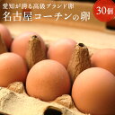 愛知が誇るブランド卵☆名古屋コーチンの卵【30個入り(破卵保障3個含む)】食品 卵 鶏卵 高級卵 玉子 たまご 贈答卵 ご家庭卵 送料無料