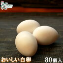 櫛田養鶏場が誇るこだわり卵☆おいしい白卵【80個入り(70個+破卵保障10個含む)】見た目は普通の白卵…でも中身は弾力のあるプリッとした卵です♪送料無料!トレイ...