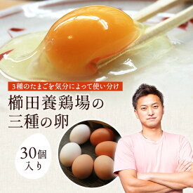 櫛田養鶏場のこだわりの卵三種食べ比べセット【名古屋コーチンの卵10個　くしたま赤卵10個　くしたま白卵10個合計30個(※各種9個+1個破卵保証)】食品/鶏卵/卵/たまご/玉子/新鮮たまご