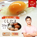 先着50セット!!くしたま赤卵10個入＋くしたま白卵10個入【合計20個(18個＋破卵保障2個)】おひとり様4セットまで！！【…