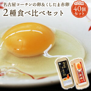 名古屋 卵の人気商品 通販 価格比較 価格 Com