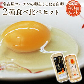 【二種食べ比べセット】高級名古屋コーチンの卵（20個入り）＋くしたま白卵（20個入り）【送料無料】合計40個入り 食品 卵 鶏卵 40個