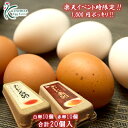 先着50セット!!【バージョンアップ中】1,000円ポッキリ!!おいしい赤卵10個入+おいしい白卵10個入【合計20個(18個+破卵保障2個)】おひとり様4セッ...