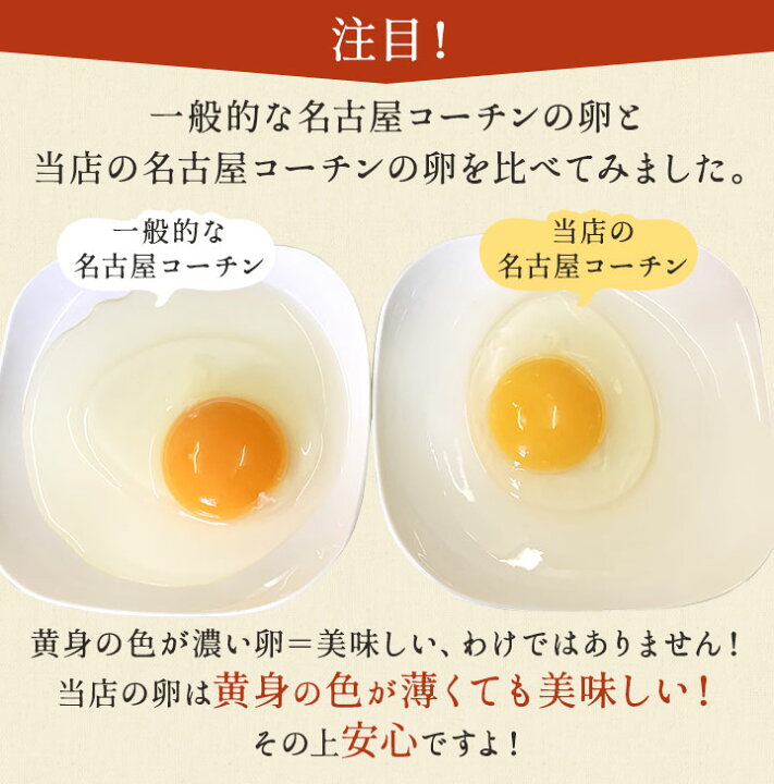 安心と信頼 お一人様1回限り 櫛田養鶏場のスイーツお試しセット 櫛田養鶏場の名古屋コーチンの卵で作った エッグタルト 1個 櫛田養鶏場の卵で作った シフォンケーキ 5種 お一人様1回限り 櫛田養鶏場のスイーツお試しセット 櫛田養鶏場の名古屋コーチンの卵で作った エッグタルト 1個&櫛田養鶏場の卵で作った シフォンケーキ 5種