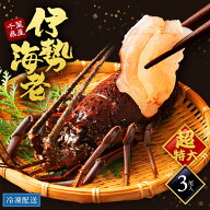 ＼スーパーセール／超特大サイズ 伊勢海老 3尾 2kg 国産 千葉県産 天然 活〆冷凍 お刺身用 生食用 殻付き…