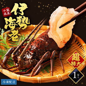 伊勢海老 超特大1尾 選べる600g・700g・800g 国産 千葉県産 天然 活〆冷凍 刺身用 生食用 殻付き 伊勢エビ いせえび お造り 姿盛り 浜焼き バーベキュー 海鮮 お取り寄せ ギフト 贈答用 お祝い 誕生日 還暦祝い 長寿祝い お歳暮 お正月 年末年始 まるごと 内祝い プレゼント