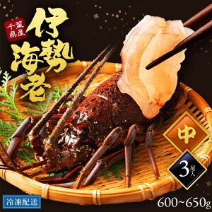 yTCYz ɐCV Y t t 3 600g OP Yn VN hg  Ⓚۑ  N CV ɐGr  lobster  GrtC Gr` I[uĂ 