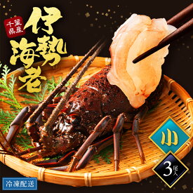 【小サイズ】国産伊勢海老 伊勢海老殻付き 伊勢海老殻ごと えび 伊勢海老 国産 千葉 千葉県 3尾 400g 口コミ グラム単位 冷凍保存 海老 伊勢 伊勢エビ いせえび lobster フレンチ ディナー お取り寄せ 贈答用 ギフト 送料無料 こどもの日 母の日 父の日