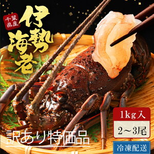 y󂠂z pE܂ 󂠂ɐCV 1KG  CV ́E܂ î܂ hgp Y tY 2`4 1000g O^ X` YΏ VՂ GrtC \e[ hg Nx ȒP 