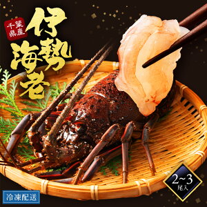 yMIXzɐCV Y t 1000g 2`3()   hg Nx VN OP Yn  V[Y CV ɐGr  lobster j ii   p M
