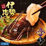 【特大】天然いせえび 活〆 伊勢海老 3尾入 1.2kg えび 国産 千葉県 3尾 1200g 母の日 父の日 贈答用 贈…